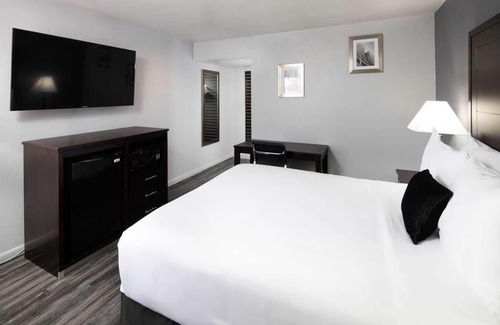 Downtown Tucson Hotel | Best Place to Stay in Arizona! Free Parking, Outdoor Pool, Near Rialto Theatre