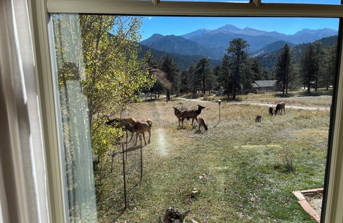 Estes Park House | Best Views-Next to RMNP-Pool-Hot Tub-Fireplace-Coaster Passes-King Bed-A/C-BBQ