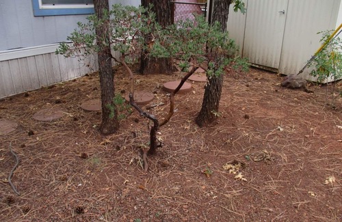 Pinetop House | Beth`s Chalet in Pinetop