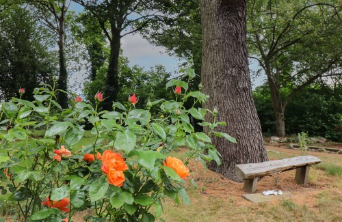 Calver Cottage | BETHANY B, with a garden in Calver