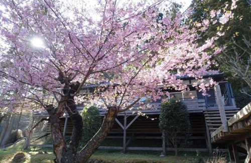Kawazu Hotel | Bettei COCORO VS | Room only VS/Kamogun Shizuoka