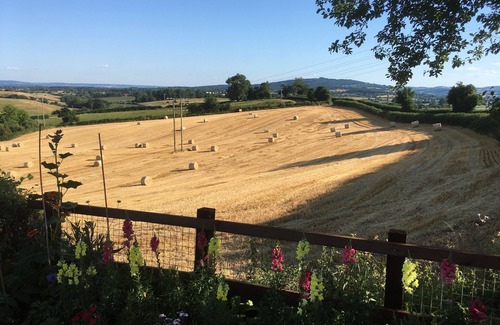 Newent Apartment | Betula Views Studio - Tiny Home in Rural Oxenhal, Newent, Forest of Dean