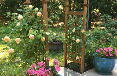 Town of Southold Town House | Between the Vineyard and Sea. Walk to sandy beach from this charming cottage.