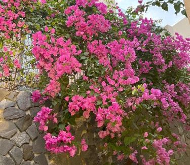 Cam Lam Villa | BIỆT THỰ BIỂN CAM RANH Wyndham garden