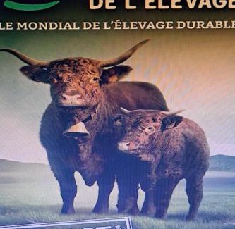 Artonne House | Bienvenue dans notre gîte "Le Chti Père" pouvant accueillir 6 personnes à Artonne, dans les Combrailles Puy de Dôme, 63