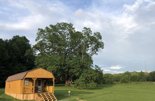 Marion Cabin | Big Tree Little Cabin