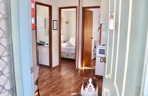 Rutherglen Other | BIG4 Rutherglen Holiday Park