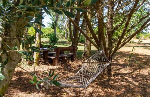 Grosseto House | Bilo Hedera