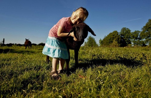 Swinemuende Apartment | Bioland dairy sheep sheep barn - Fewo sheep barn
