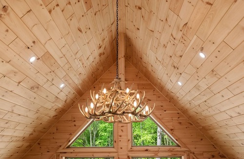 West Oneonta Cabin | Birch Cabin Lakefront & Secluded Kayaks Fishing!