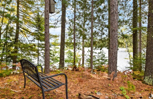 Mercer Cabin | Birchwood Point on Wilson Lake, Lakeside Bliss: Charming Cottage with Screen Porch on Wilson Lake in.