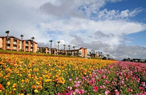 Aviara Condo | Bird Of Paradise Oceanview Penthouse