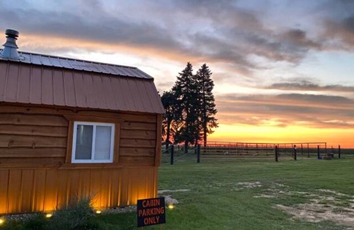 Poweshiek County Cabin | BISON Ranch~Cabin~Heat~A/C~Huge Views~ Bison within walking distance