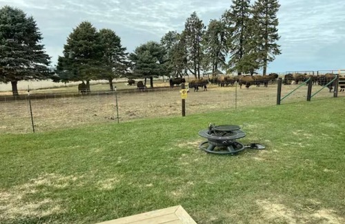 Poweshiek County Cabin | BISON Ranch~Cabin~Heat~A/C~Huge Views~ Bison within walking distance