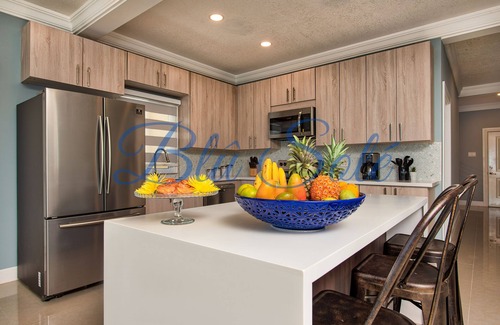 St. Ann's Bay Villa | Blû Solé - Smart Home w/Private Beach, Butler, Rooftop w/Fire-pit, Pool, Chef!