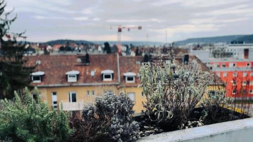 Am Homburg Apartment | Blühendes Balkonwohnung mit Traumaussicht
