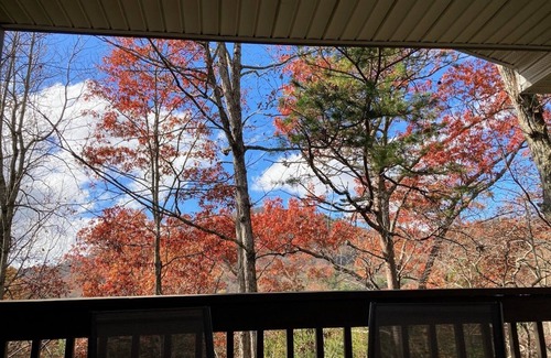 Black Mountain House | Black Bear Retreat for all seasons. Book Spring now and Save 10%.