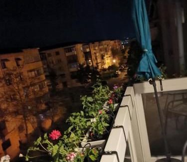 Craiova Apartment | Bloom Box Apartments