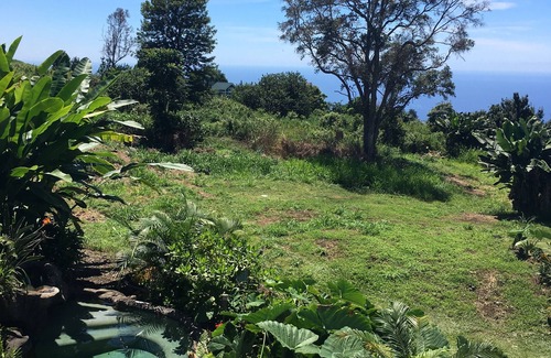 Holualoa Cottage | BLUE Mermaid's Cottage TA-038-749-9520-01