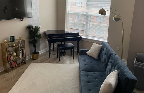 Petworth Apartment | Blue Oasis in DC
