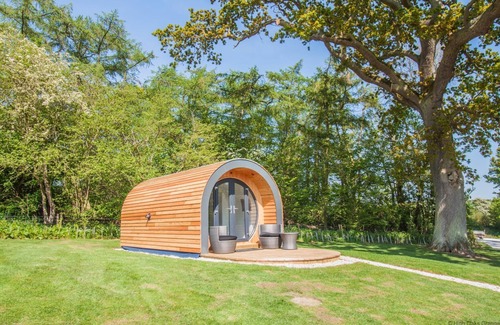 Pickering Cabin | Bluebell Glamping Pod - sleeps 2 | Gold Award winning