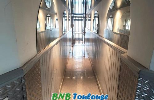 Saint - Michel Apartment | ► BNB TOULOUSE ► Le Patio Tolosan Clim Métro, bus, tram WiFi