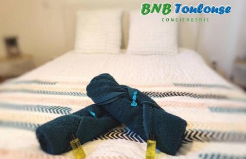 Saint - Michel Apartment | ► BNB TOULOUSE ► Le Patio Tolosan Clim Métro, bus, tram WiFi