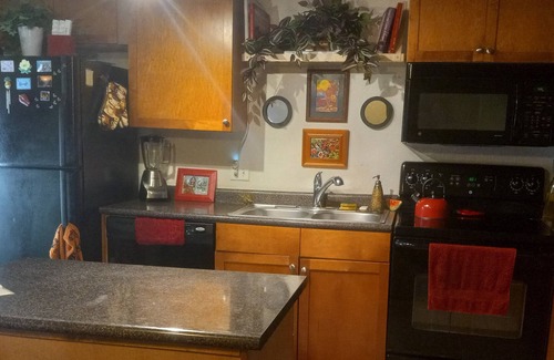 Gainesville Condo | Bobby Cat's condo, shared with owner, in forest setting w/creek, 1.5 mi. to UF!