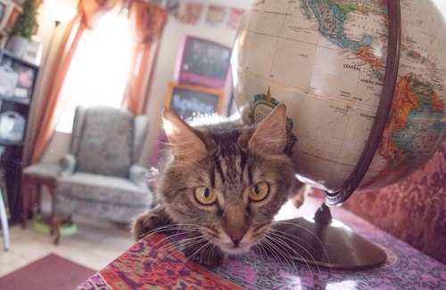 Winchester Condo | Boho Haus w/Cats & Pool | 420 Friendly | Near Strip & Convention Center