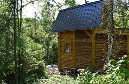 La Baie Other | Bois Rond Expérience