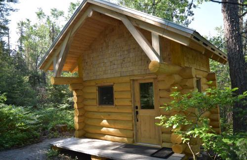 La Baie Other | Bois Rond Expérience