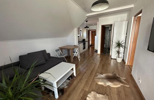 Odorheiu Secuiesc Apartment | Bokorlak 4