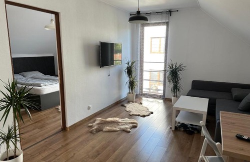 Odorheiu Secuiesc Apartment | Bokorlak 4