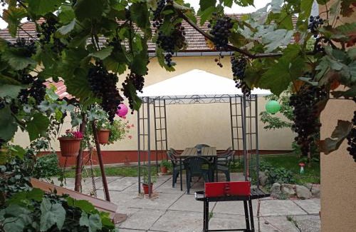 Satoraljaujhely House | BORINA VENDÉGHÁZ