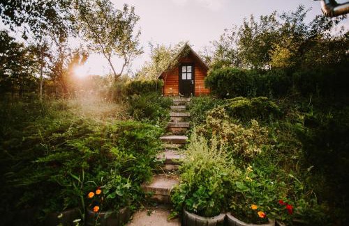 Odorheiu Secuiesc Bed & Breakfast | Bosnyák Panzió
