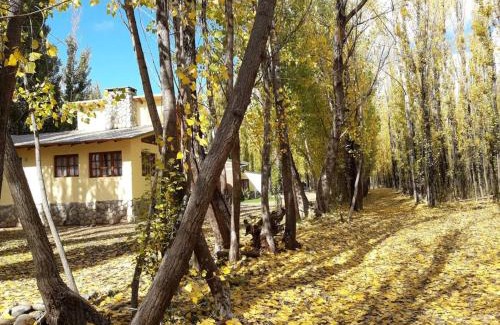 Malargue Apartment | Bosque de Sol cabaña 4