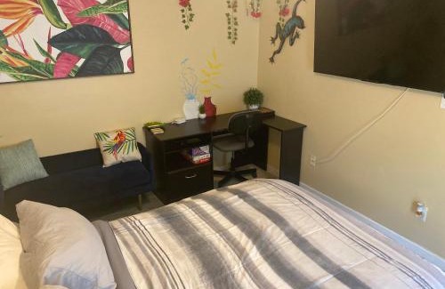 Casselberry Apartment | Botanical Tranquility