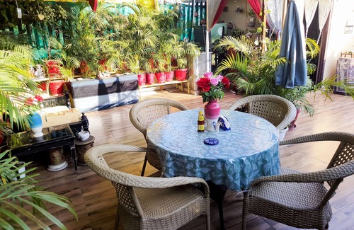 Sushant Lok Apartment | Boutique studio with beautiful terrace for romantic gateway & stay vacation