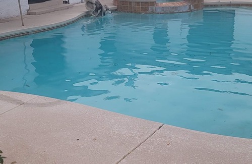 El Paso House | Bowen Estates in cul-de-sac large backyard & lots of room. 8024 Bowen Rd El Paso