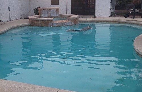 El Paso House | Bowen Estates in cul-de-sac large backyard & lots of room. 8024 Bowen Rd El Paso