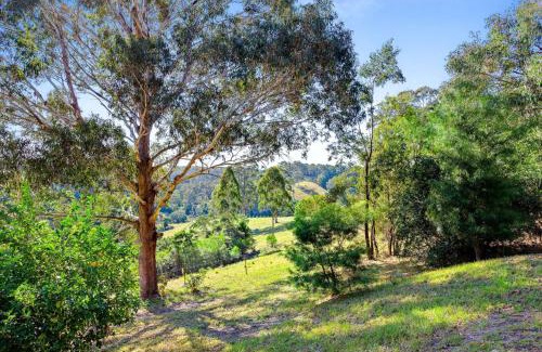 Central Tilba House | Braeside Cabin Three Parsonsia