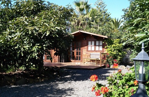 La Orotava Cottage | Brand New Cottage In Avocado Plantation Near Playa Bollullo