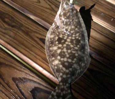 Cedar Lane House | BRAND NEW gorgeous water front home on Caney Creek