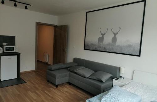 Palmovka Apartment | Brand new studio apartment #21 with free secure parking in the center