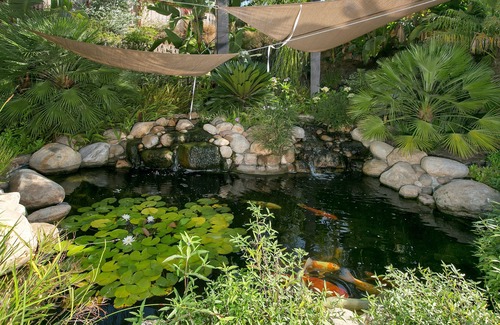 Rancho Penasquitos House | Breathtakingly beautiful and kid friendly San Diego mansion!
