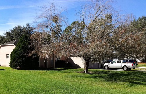Briargrove House | Briargrove - Well locate Pool Home close to Parks
