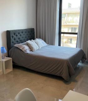 Tigre Apartment | Brickell Pileta 2A Bross