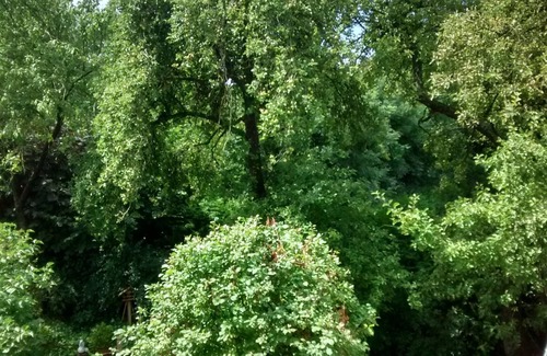 Dornum Apartment | Bright charming apartment with garden, terrace, WLAN
