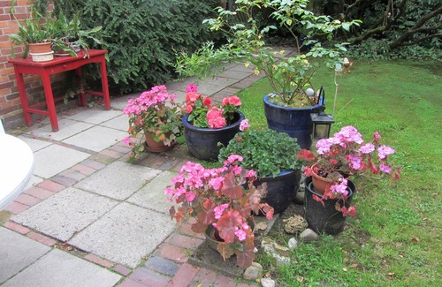 Dornum Apartment | Bright charming apartment with garden, terrace, WLAN