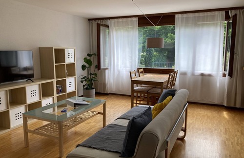 Hettenschwil Apartment | Bright large 1 room apartment with balcony